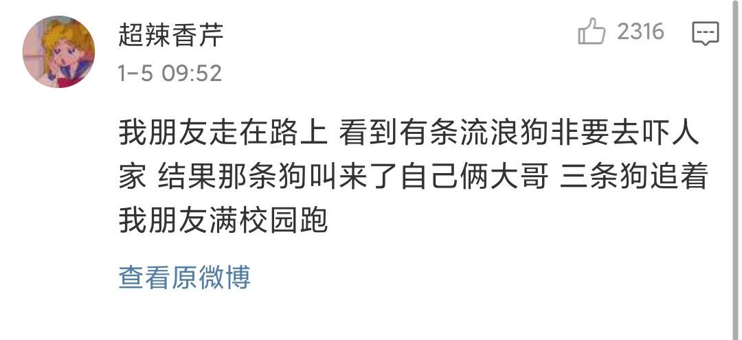 Word文档图片