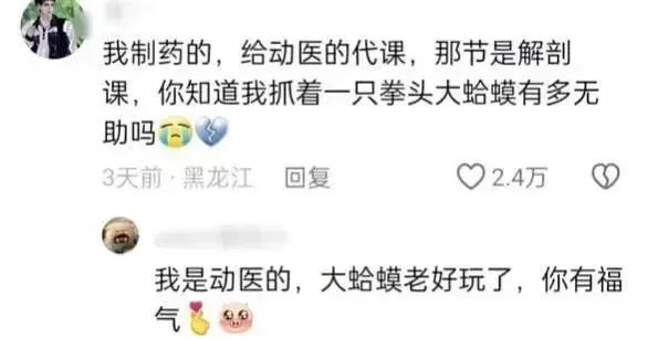 Word文档图片