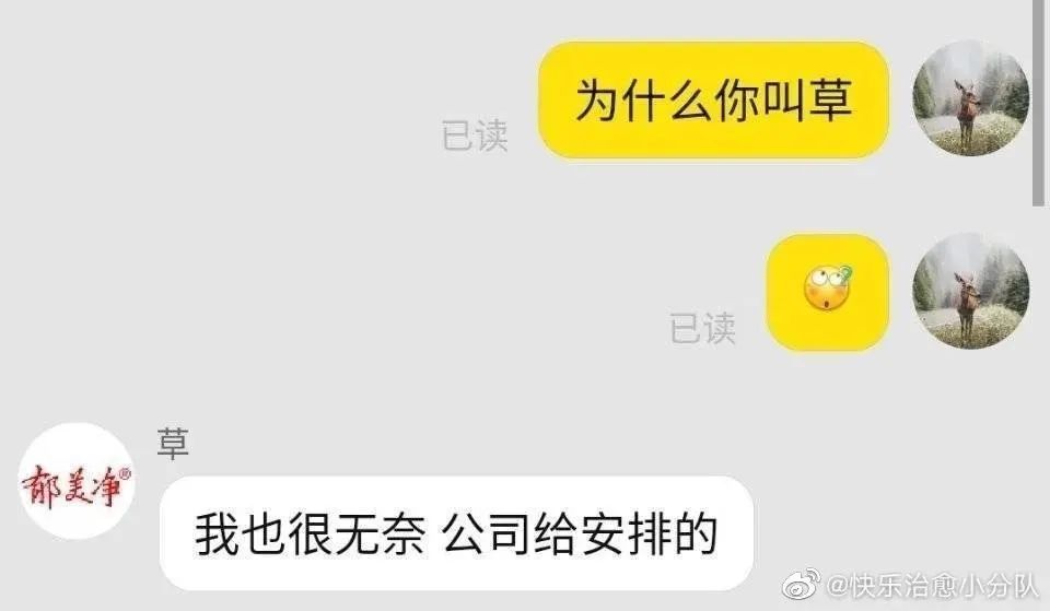 Word文档图片