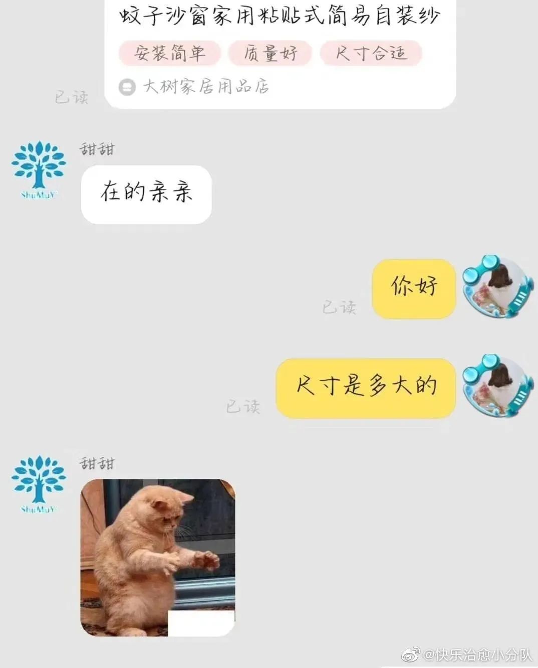Word文档图片