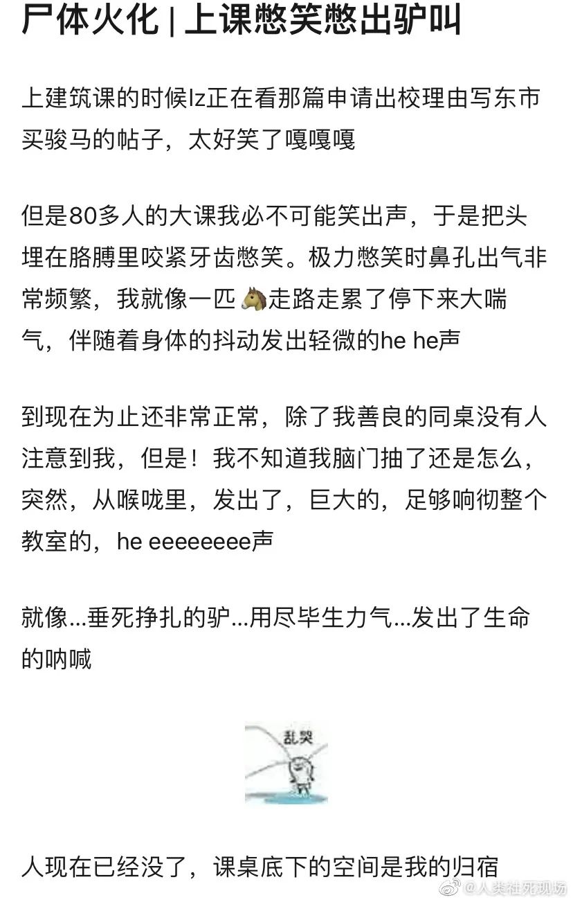 Word文档图片