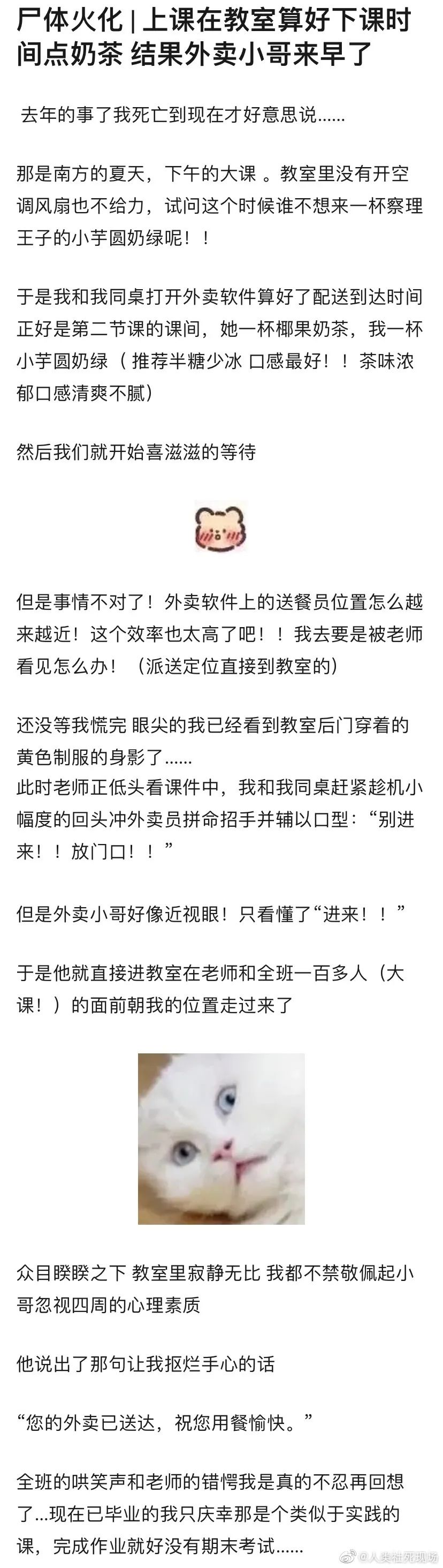 Word文档图片