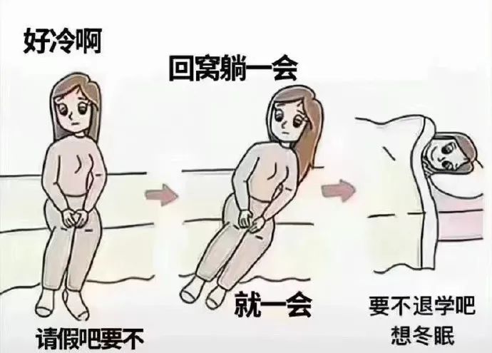 Word文档图片