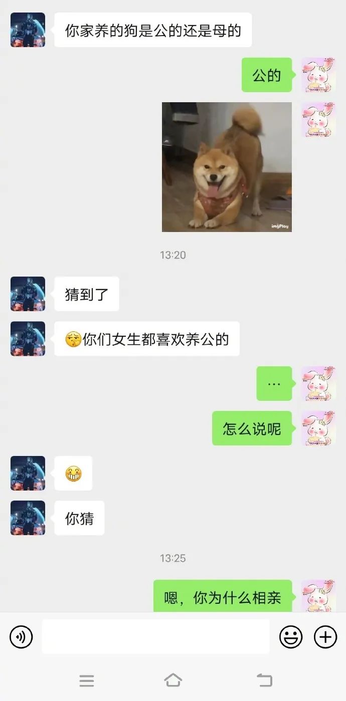 Word文档图片