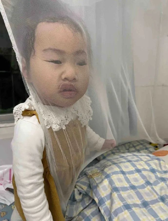 Word文档图片