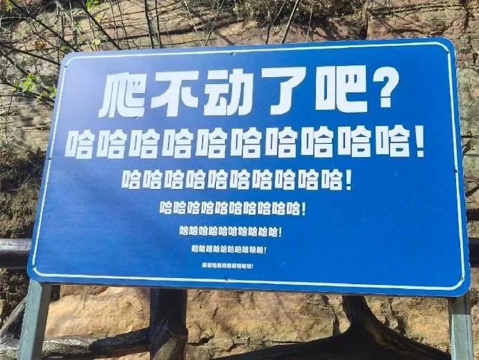 Word文档图片