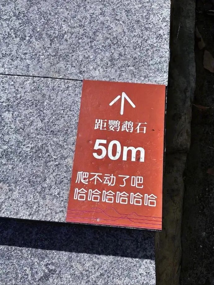 Word文档图片