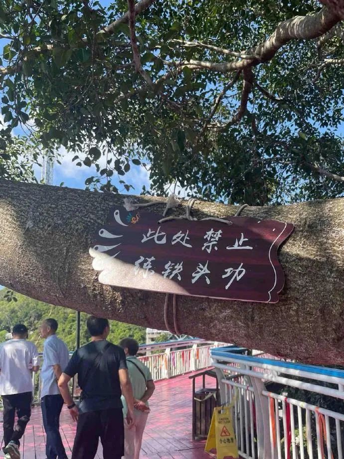 Word文档图片
