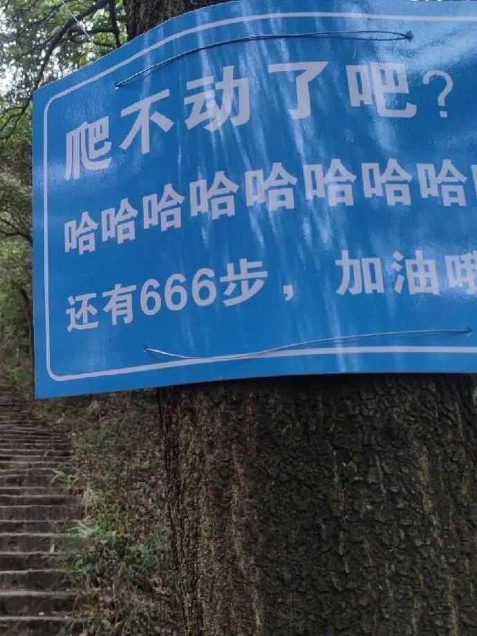 Word文档图片