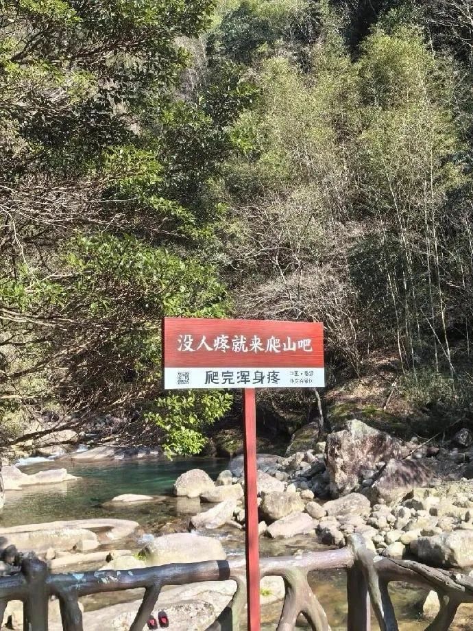 Word文档图片