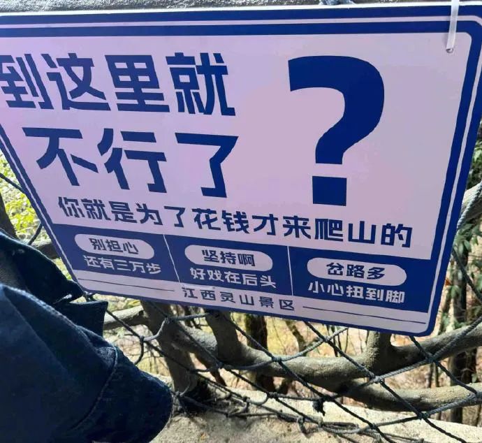 Word文档图片