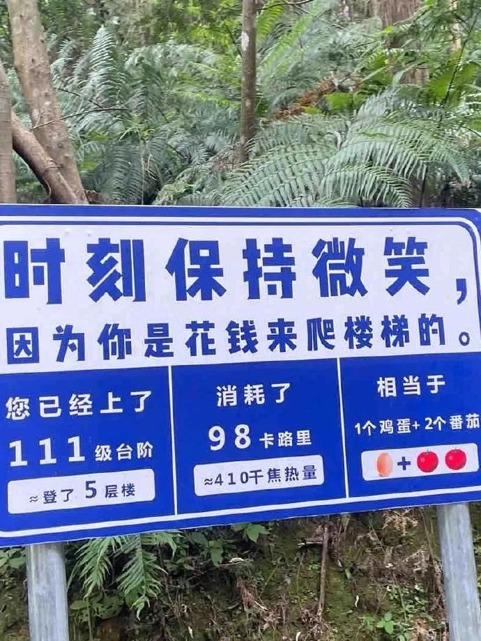 Word文档图片