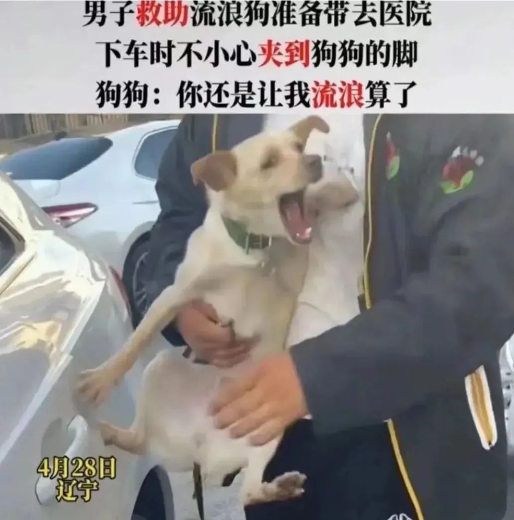 Word文档图片