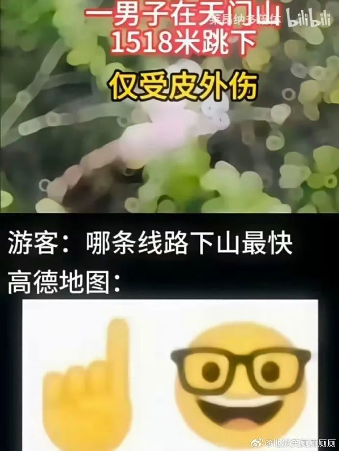 Word文档图片