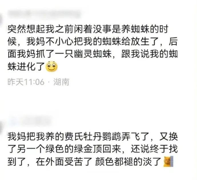 Word文档图片