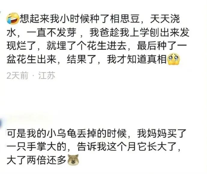 Word文档图片
