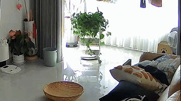 Word文档图片