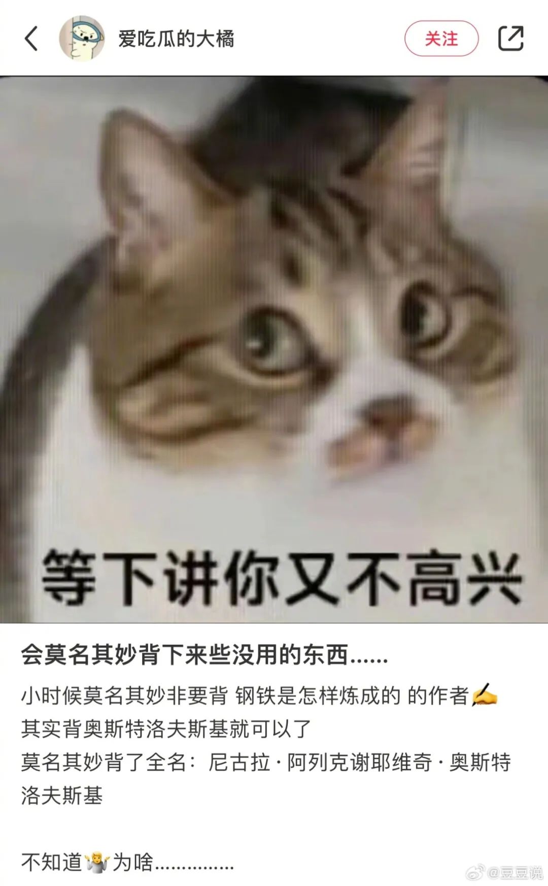 Word文档图片