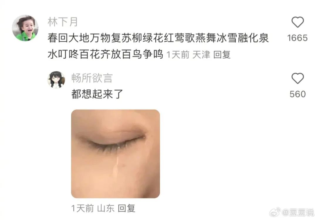 Word文档图片