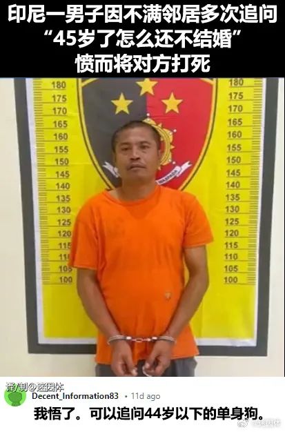 Word文档图片