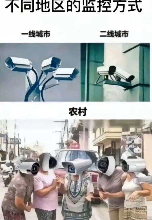 Word文档图片