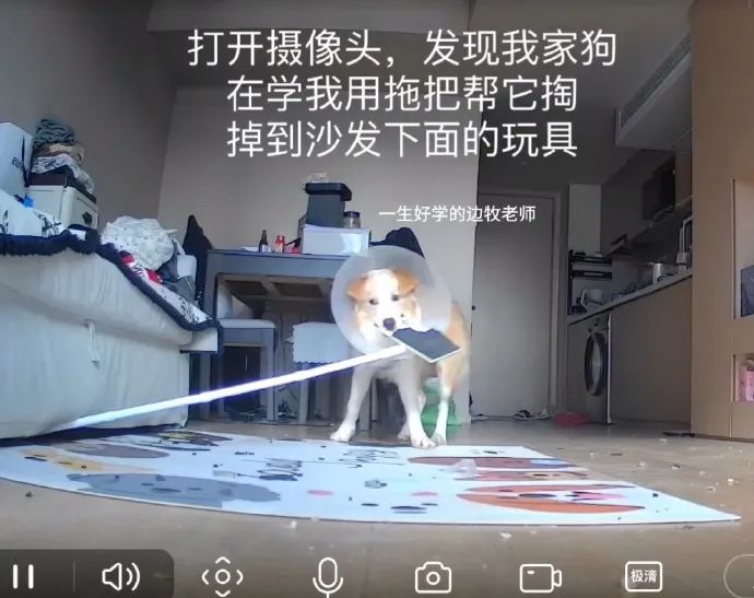 Word文档图片