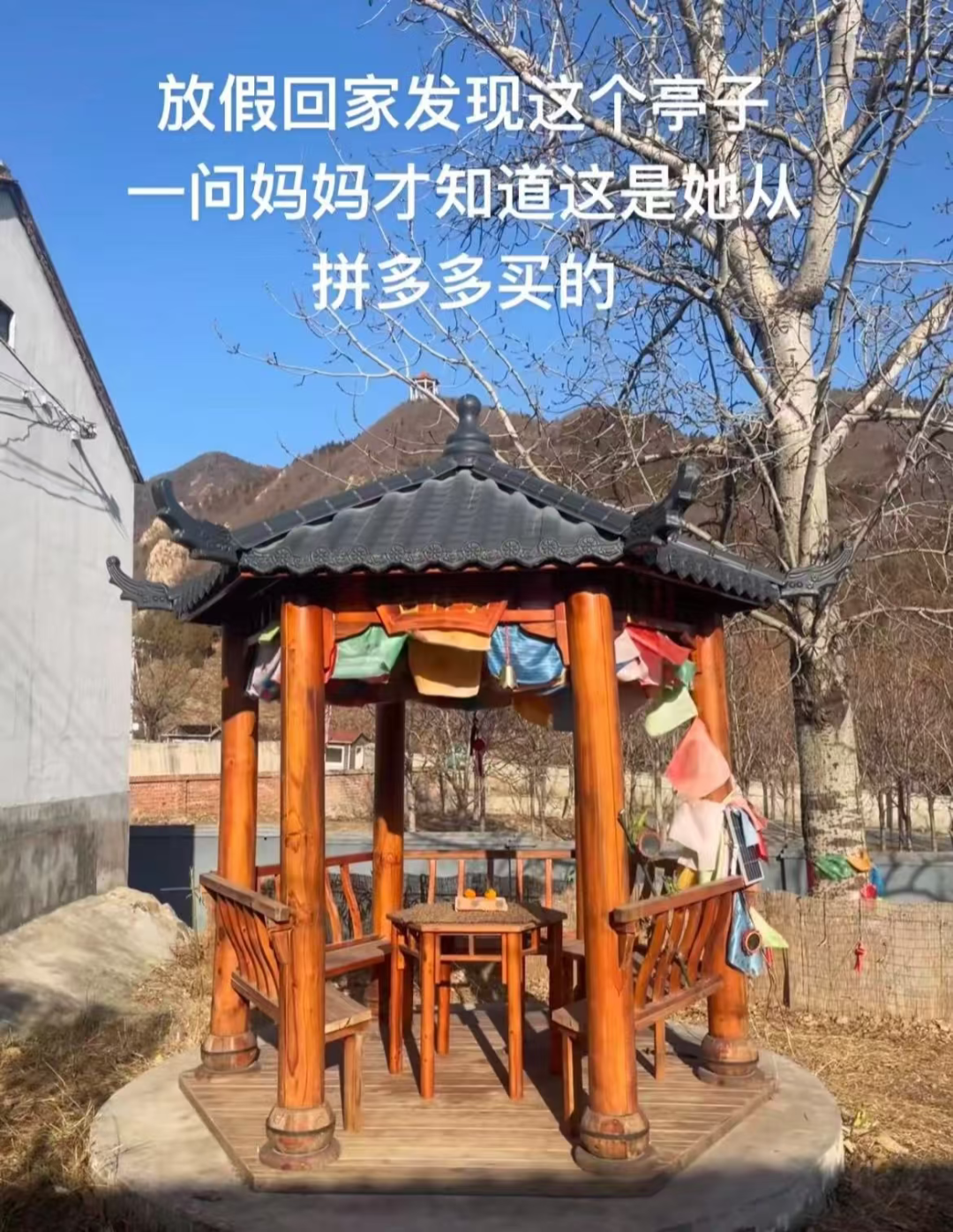 Word文档图片
