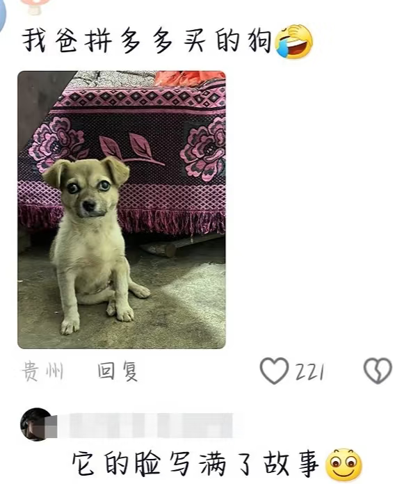 Word文档图片