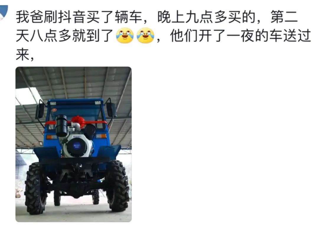Word文档图片