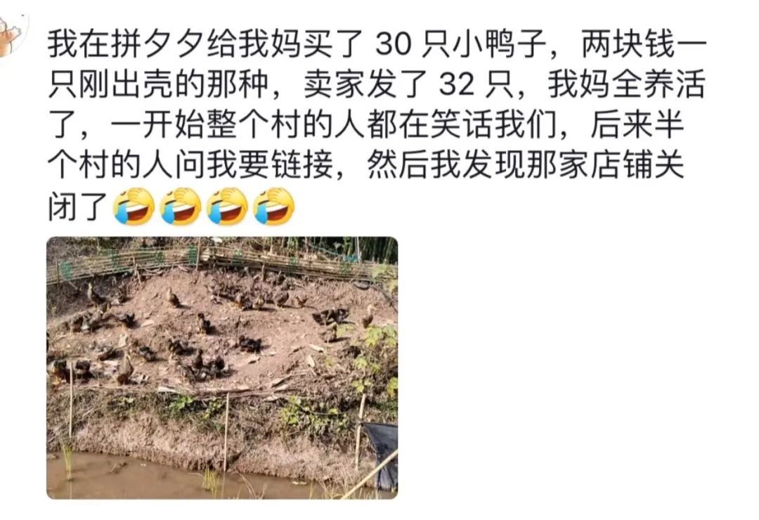 Word文档图片