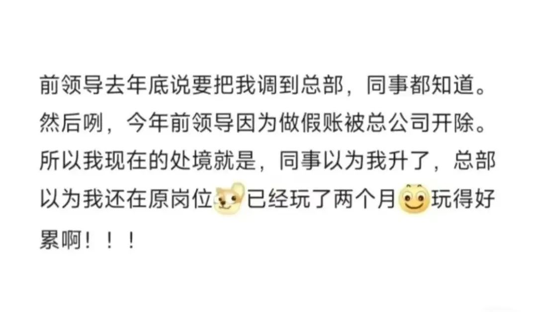 Word文档图片