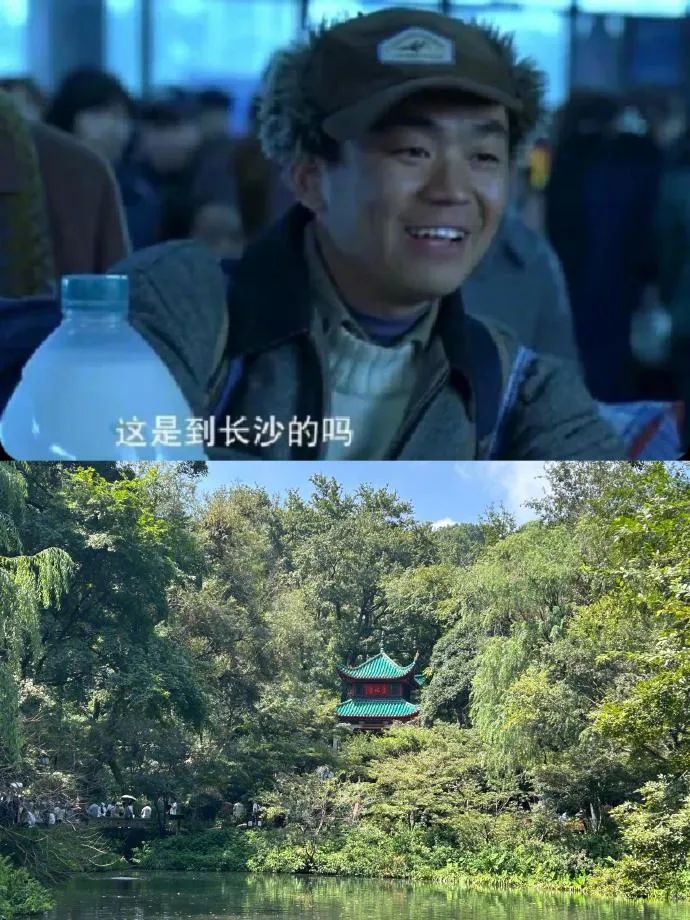Word文档图片