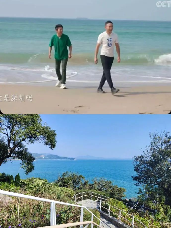 Word文档图片