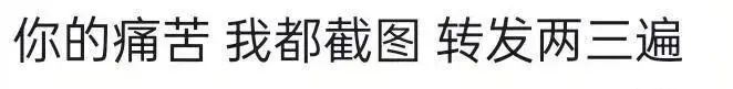 Word文档图片