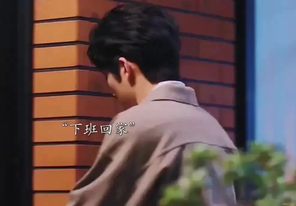 Word文档图片