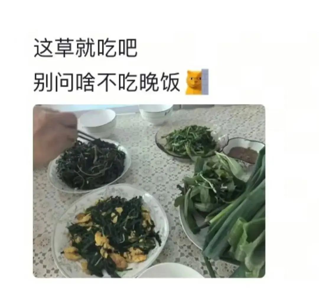 Word文档图片