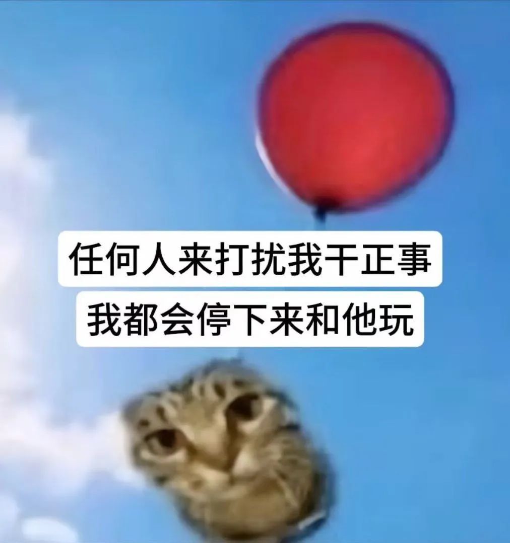 Word文档图片