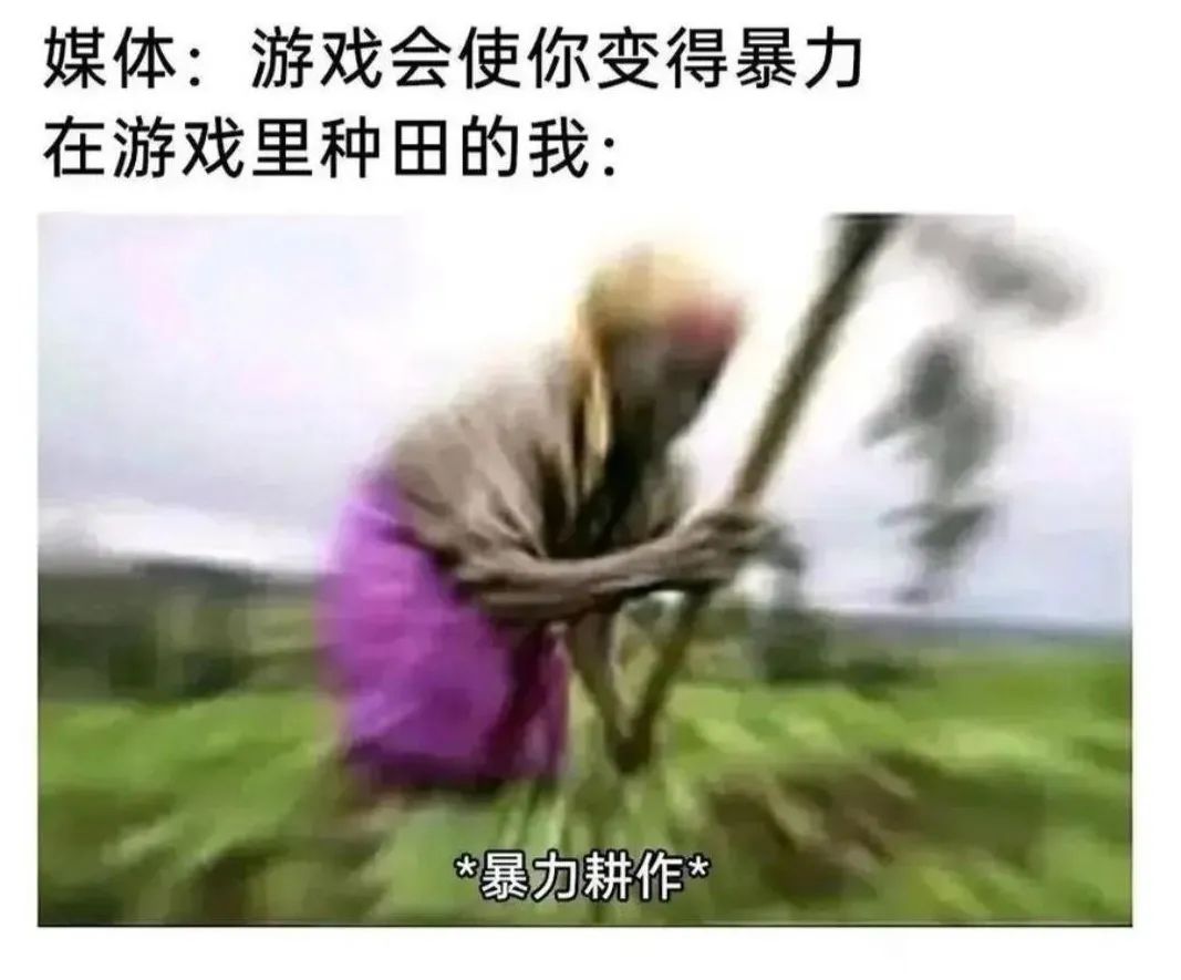 Word文档图片