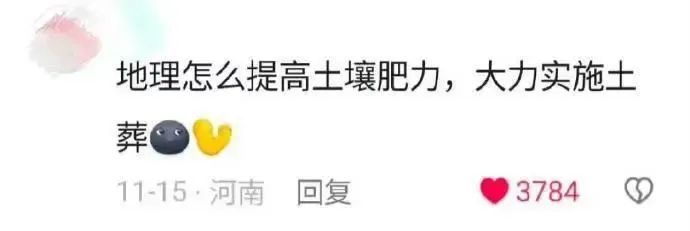 Word文档图片
