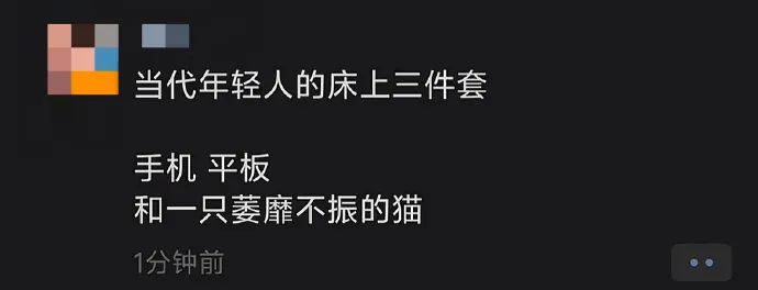 Word文档图片