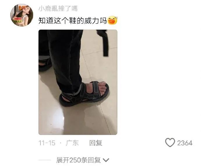 Word文档图片