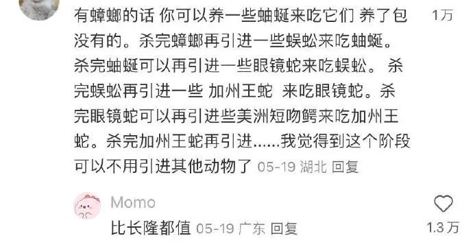 Word文档图片