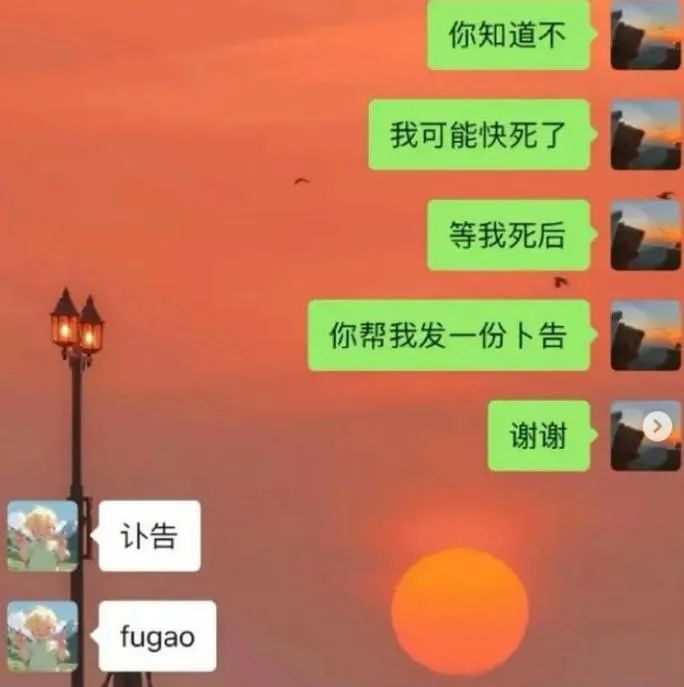 Word文档图片