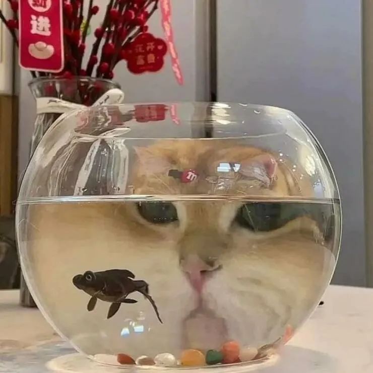 Word文档图片