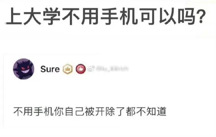 Word文档图片