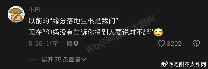 Word文档图片