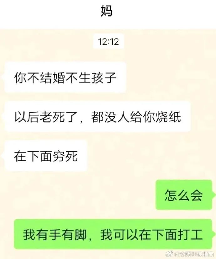 Word文档图片