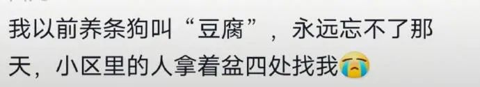 Word文档图片