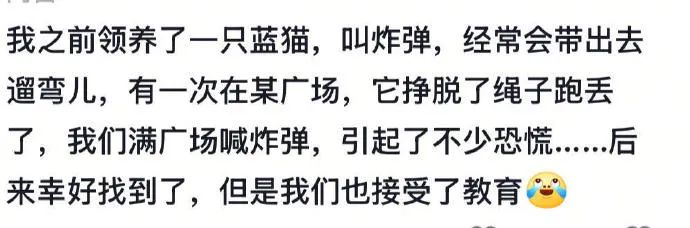 Word文档图片