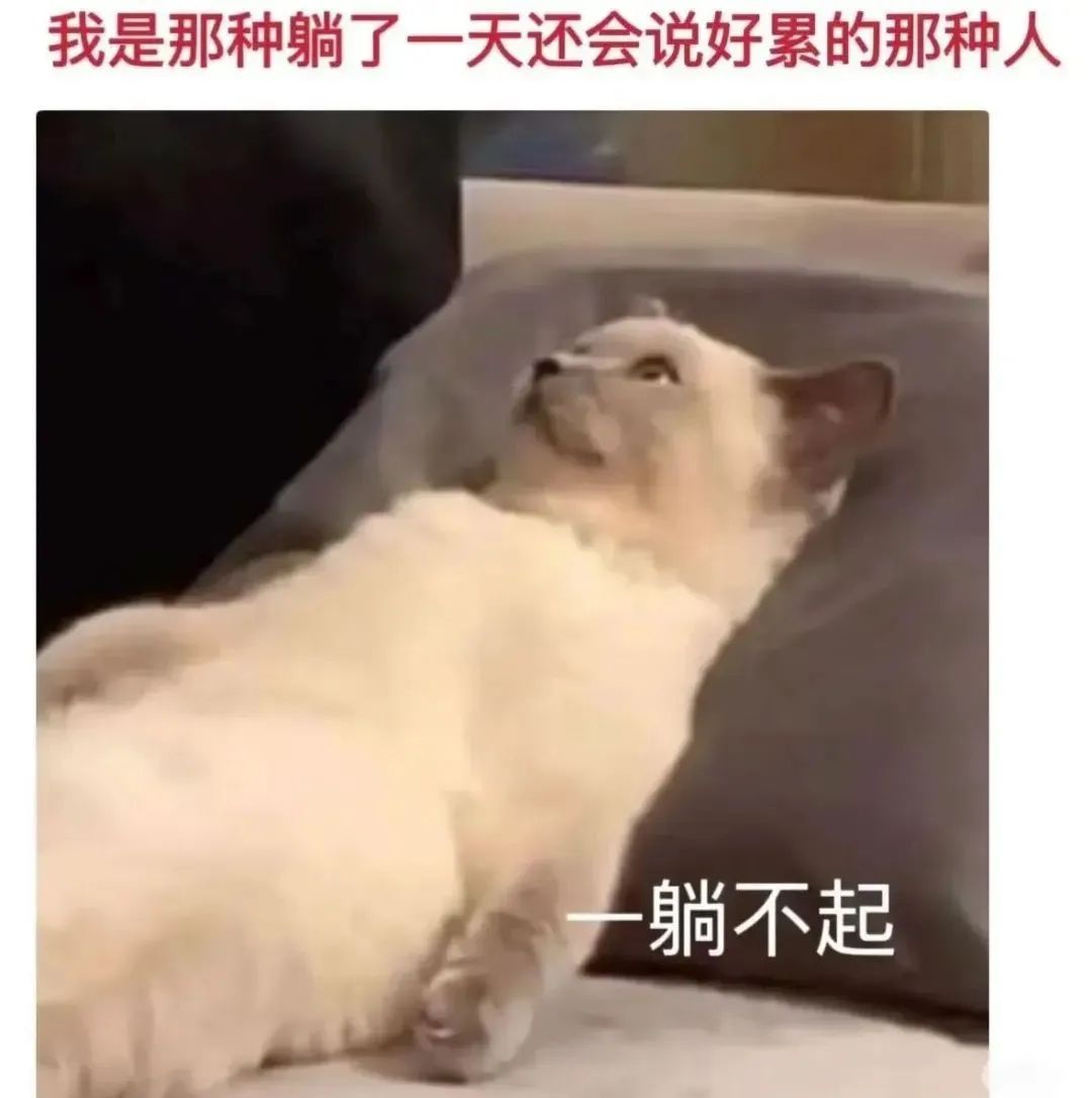 Word文档图片